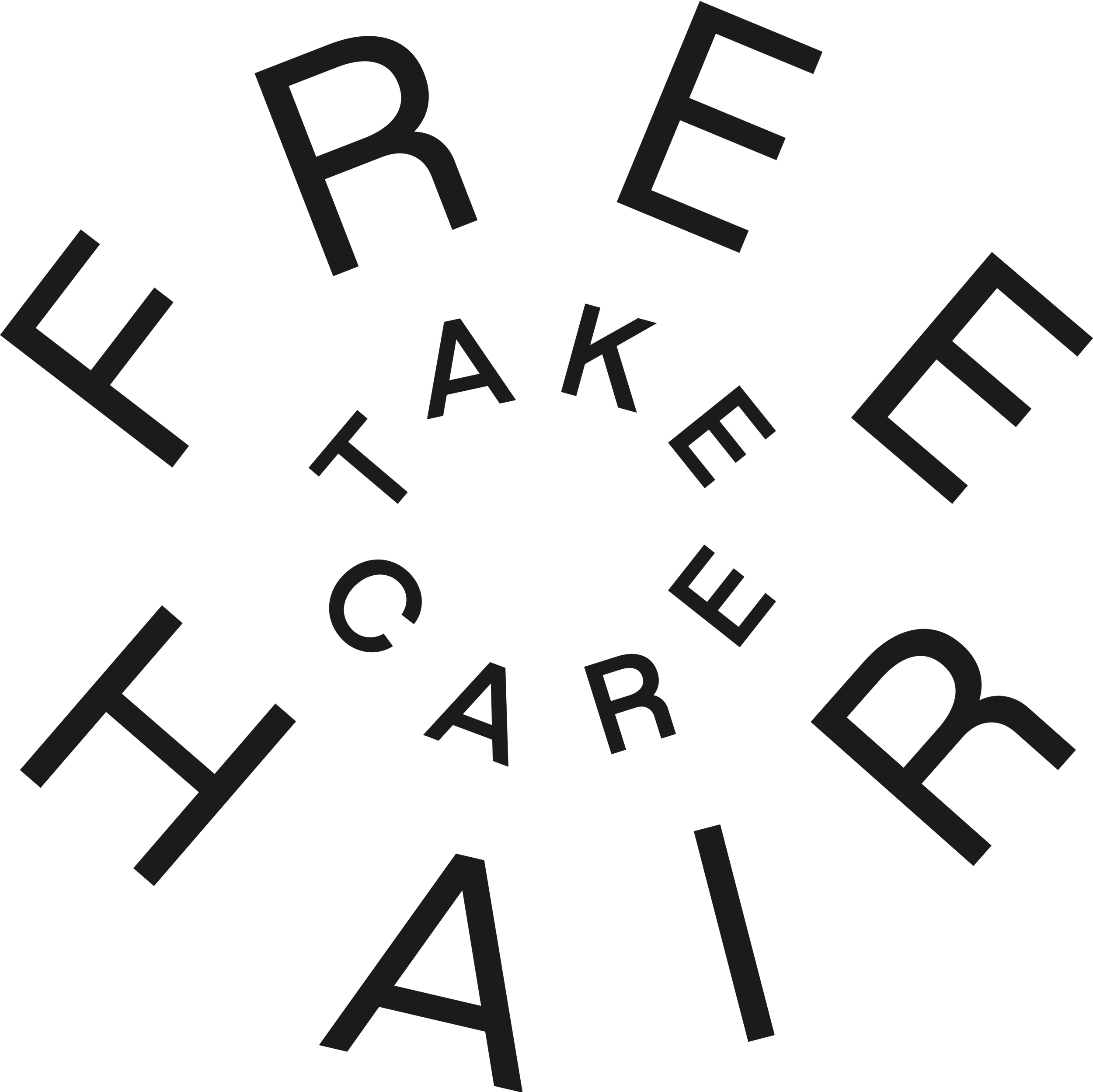 Free Hair — Take Care badge